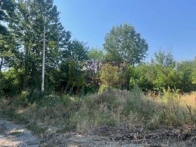 Teren Clinceni- Ordoreanu- langa Dig.